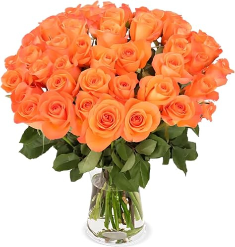 Blume Ideal Rosenstrauß - 15 Rosen - Orange - Ø 40–50 cm - Echte premium Blumen für Hochzeit & Deko - 7 Tage Frischegarantie - in verschiedenen Farben und Mengen