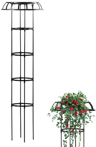 Treillis de fleurs pour grimpantes, treillis à rosiers grimpants - Treillis de framboises, treillis de rosiers en forme de parapluie | Vigne soutient la tour de , cage à