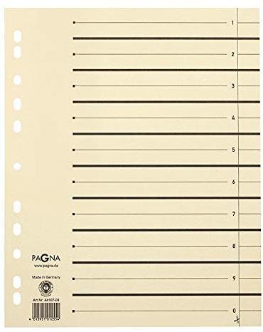 Pagna 44108-09 PAGNA Trennblätter 300x245x27 chamois 230g/qm, Inh.1000 (10x 100er Packung)