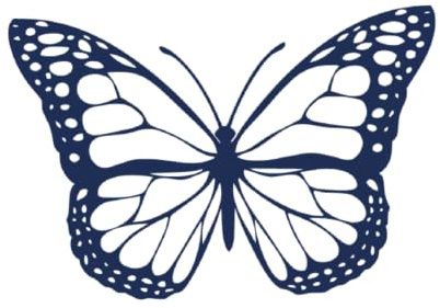 Tattwo.me – Temporäre Tattoos für Erwachsene und Kinder, hält 2 Wochen, wasserfest – hübscher Schmetterling – Pflanzliche Tinte – EU-Kosmetik-Zertifikat – (P0571)