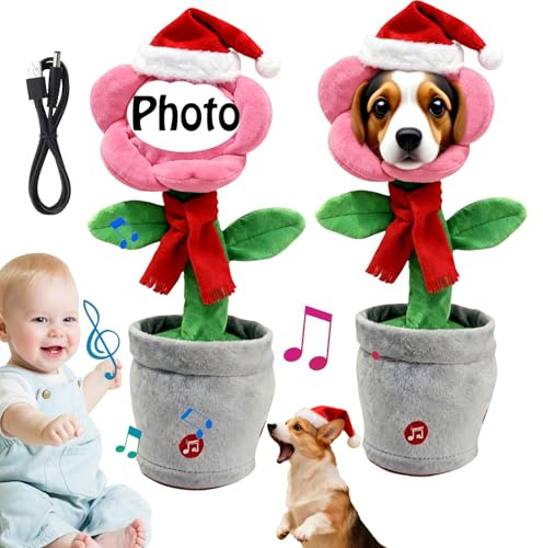 Custom face plush, dancing flower, New Christmas Personalized singing and talking sunflower toy, Voice Recording, Interactive Birthday Festival, Gift Box, singing cactus, click on plush (A Pink)