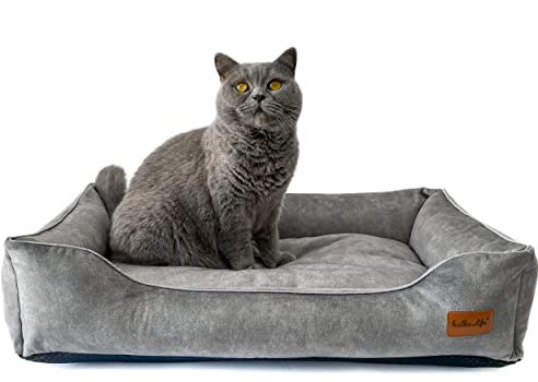 Halkalife Katzensofa – Samtsofa für einen kleinen Hund – Hundebett mit separatem Kissen und abnehmbaren Kissenbezügen – Hundebett aus dickem (S (60x40x15 cm), Grau)