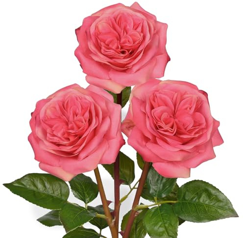 Hollyone 12cm Große Kunstrosen Rosa 3 Stück Realistische Kunstblumen Rosen Seide 62cm Einzelne Rosen Künstliche Blume für Blumenarrangements Hochzeit Sträuße Party Haus Dekoration