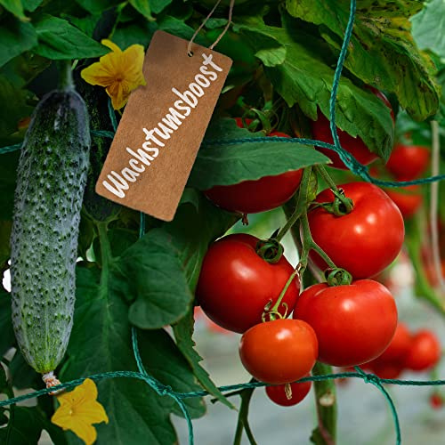 TerraUno - Ranknetz I Rankhilfe für Gurken, Tomaten und Kletterpflanzen I 2 x 5m I Rankhilfe für perfekten Wachstum und Ertrag I Tomaten Rankhilfe - Gurken Rankhilfe I Rankhilfen für Kletterpflanzen