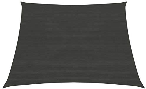 LAPOOH Sonnensegel, Sichtschutz Balkon, Balkon Sonnenschutz, Sonnenschutzsegel,Regenschutz Balkon, Seitenmarkise, Sichtschutz Terrasse, 160 g/m² Anthrazit 3/4x2 m HDPE