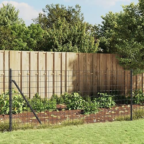 HCZKIUJY Maschendrahtzaun Anthrazit 1x10 m Verzinkter Stahl, Gartenzaun, Landschaftszaun, Zierelement, Außenzaunelement, Tierbarriere, Beetbegrenzung für Terrasse, Hinterhof
