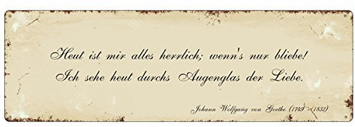 Interluxe Schild METALLSCHILD Blechschild HEUT IST MIR ALLES HERRLICH Goethe Zitat Shabby Vintage Spruch