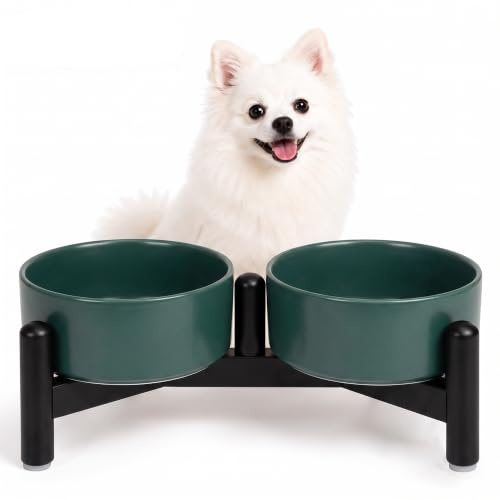 Gamelle pour Chien Surélevée en Ceramique - Gamelles Surelevees pour Petit Chiens et Chats - Double Bol avec Support en Acier Inoxydable pour Eau et Croquettes - 160 g（320 ML） x 2 - Vert