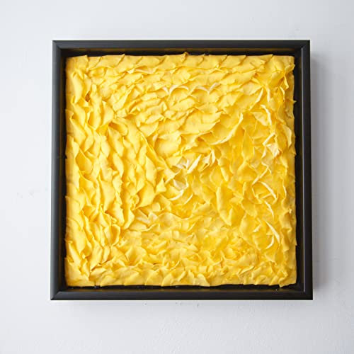 ROSEMARIE SCHULZ Heidelberg Infinity Rosen Blütenbild 30x30cm Wandbild Natur 1 Stück mit Rahmen Wanddekoration aus konservierten Rosen für Wohnzimmer (Gelb)