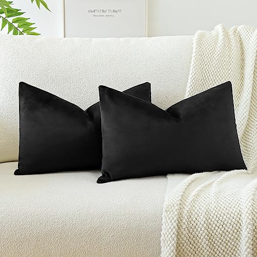 JOTOM Samt Kissenbezug Kissenhülle Sofakissen Dekokissen Kissenbezüge für Sofa Wohnzimmer Schlafzimmer 2er Set 40x60 cm Schwarz