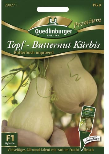 Quedlinburger Kürbis Topf- Butternut,1 Portion