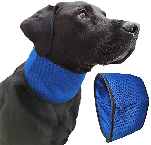 Lautus Pets Dog Cooling Bandana - Quick, Lightweight & Portable for Dogs - Easy to Use Dog Cooling Collar - Helps Prevent Overheating, Perfect for Owners & Carers (Small)