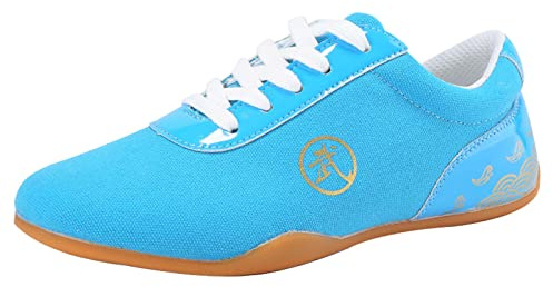 Unisex-Adult Tai-Chi-Reb Sneaker,Traditional Men's Women's Casual Shoes Slippers Kung Fu Tai Chi Flat Shoes Casual Slipper Sneaker,Blue,41