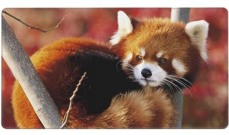 OPSREY Großes Mauspad, Motiv: roter Panda, waschbar, Gummi, Tastatur-Pad