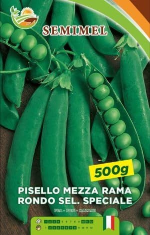 Pisello Mezza Rama Rondo sel SPECIAL - Legume Vigoroso e Alta Produzione, Ciclo Medio Precoce, 500 gr di Semi 3 confezioni