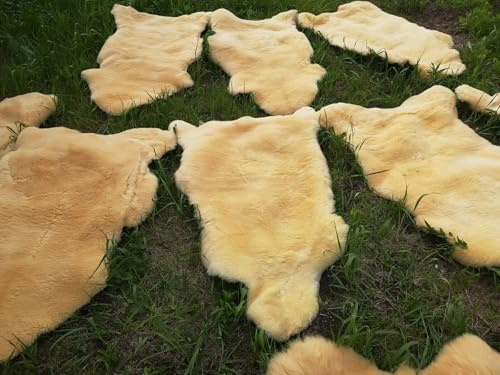 Provellus Real Medium Sheepskin Lambskin Baby Fur Relugan up to 140 cm 2nd Choice Bargain (Sheared Approx. 3-4 cm), 30 x 30 cm Square)