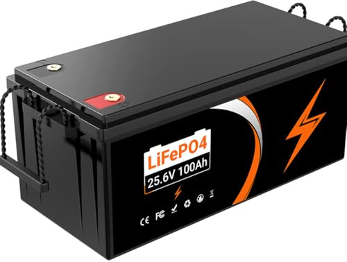Batteria al litio 24V 100Ah LiFePO4- uscita massima 2560Wh | Batterie Lifepo4 perfetta per camper, pannelli solari, caravan, barche,Sistemi fuori rete