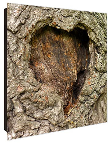 banjado Großer Schlüsselkasten Glas - Schlüsselbox 30x30cm mit 50 Haken - Schlüsselkasten modern für Schlüsselaufbewahrung mit beschreibbarer, magnetischer Glastür - Motiv Altes Herz