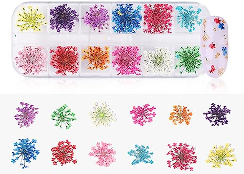 Raguso Fiori Secchi per Unghie , 12 colori naturali per unghie secche Fiori Decor Manicure Adesivo girasole Decorazione per unghie Arte Forniture per strumenti fai da te (A)