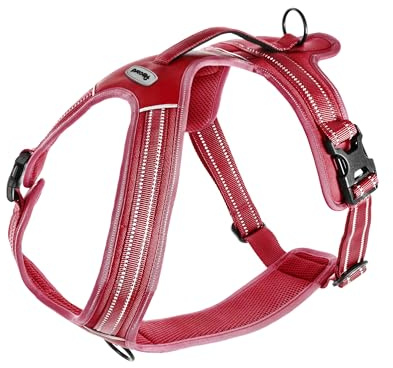 Record Hundegeschirr Action Alpi aus Geflochtenes Nylon Mit 3M ScotchLite Reflektierenden Bändern | Farbe Rot, Größe M, Umfang 60-72 cm