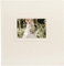 goldbuch 08 009 - Álbum de fotos con 60 páginas blancas y pergamino, álbum de recuerdos con troquelado para su propia imagen, álbum de papel refinado en aspecto satinado, aprox. 30 x 31 x 4 cm