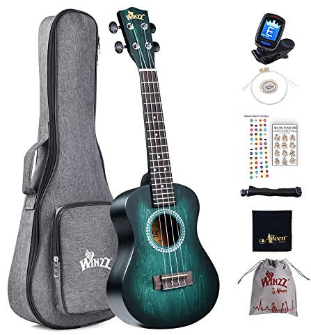 Winzz 23 Ukulele Konzert Anfänger Set Kinderm Erwachsene, Einzigartiges Farbdesign, mit Tasche, Stimmgerät, Zusätzlichen Saiten, Gurt, Noten-Aufkleber (Blau-Grü)
