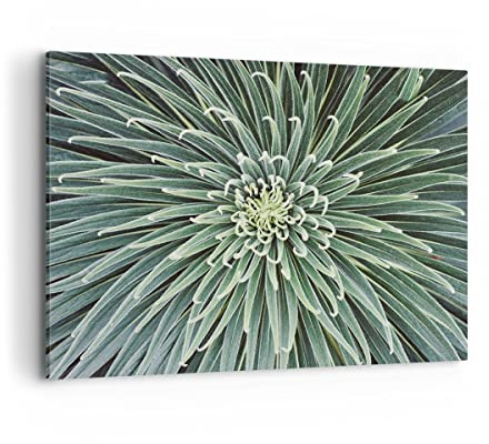 Quadro su Tela 100x70cm Stampe da Parete Agave verde pianta Grandi Decorazione Murale Camera da Letto Cucina 1 pezzo Quadri Moderni Soggiorno Grafica Immagini Wall Art Canvas AA100x70-4905