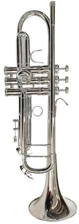 Trompette Trompette Professionnelle BB Joueur Professionnel Instrument En Laiton Trompette Avec Sac De Transport(Nickel)