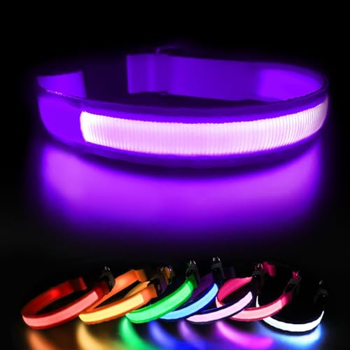 Leuchthalsband Hund Aufladbar, Hundehalsband Leuchtend, LED Halsband für Hunde Leuchtband Einstellbar Wasserdicht mit 3 Lichtmodi Sicherheit Hundehalsband für Kleine Mittlere Große Hunde, Lila-L
