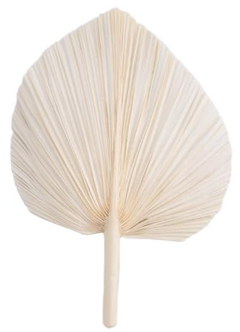 Tskcvy Hojas de Palma Secas Blancas Grandes 3 Piezas Elegante y Moderno Boho DecoracióN para el Hogar y la Boda - Arte de la Pared