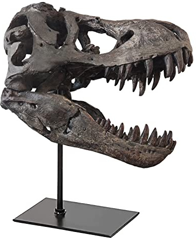 pombconw Dinosaurier Schädel Skulpturen Tyrannosaurus Rex Resin Head Statue Wohnzimmer Deko Modern Büro Dekoration Wandregal Dekoration