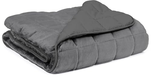IDMarket - Couverture lestée 150x200 CM Celeste Bicolore Gris Clair et Gris 7 kg