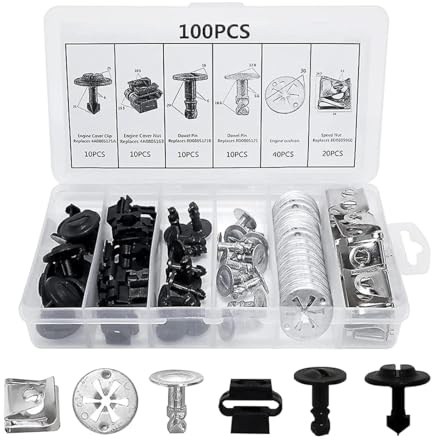 JNNJ 100 Stück Auto Befestigung Clips, Stoßstange Karosserie Clip, Türverkleidung Klammern Stoßstangen Zierleisten Plastikklips Set, Für Auto Tür Stoßstange Panel