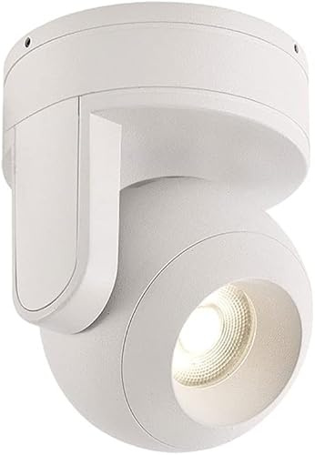 BFFGKGL Lámpara de Techo Ajustable para Dormitorio LED de 12 W, Foco de Techo para baño montado en Superficie, luz empotrable de Techo giratoria para Pasillo, Foco direccional, Aplique Giratorio para