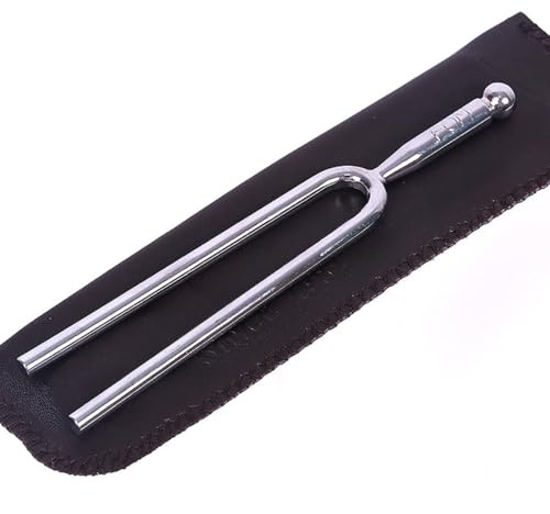 Stimmgabel aus Edelstahl, Silber, Präzises Stimmgerät für Instrumente | Aufbewahrungstasche und Shell Case, für Saiteninstrumente, für Zuhause und Reisen