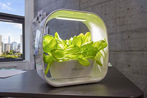 Hydroponics Growing System Indoor Window Kitchen Herb Garden With LED Grow Light Smart Kitchen Garden Grower With Auto Timer Plant Gifts For Gardeners