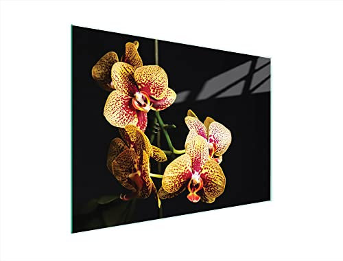 DarHaus Herdabdeckplatte 40x30 cm Einteilig Glas Elektroherd Induktion Herdschutz Spritzschutz Glasplatte Deko Schneidebrett, Orchidee Schwarz