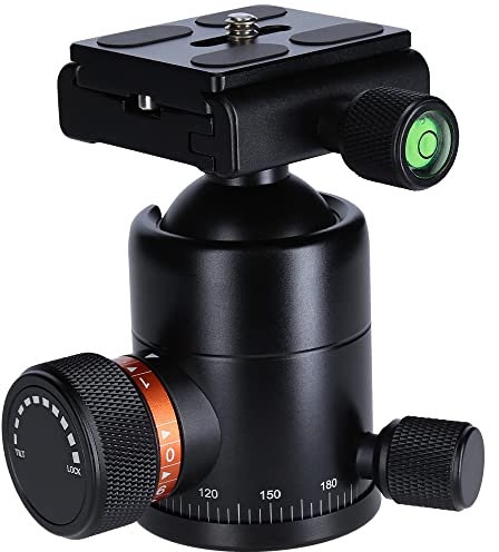 Rollei Trépied à rotule pour trépied C6i, tête de trépied Professionnelle à 360 ° avec Friction, capacité de Charge de 12 kg et 3 Niveaux à Bulle avec Plateau Rapide Acra Swiss 22769 Noir