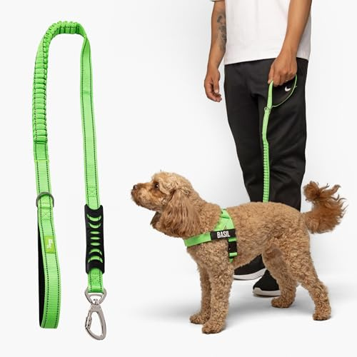 Dog Friendly Co. Bungee Dog Leash, Shock Absorbing (Neon Green, Regular)