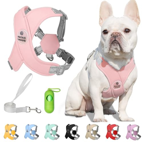 Patas Lague Dog Harness with Leash Set Adjustable Soft Padded Step-in Dog Vest No Choke No Pull Reflective for Small Medium Pets with Poop Bags and Dispenser, Solid and No-chew, Pink M