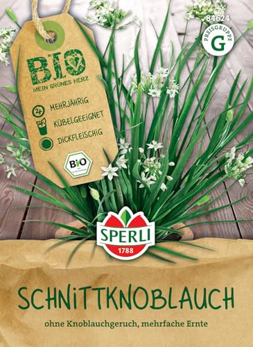Sperli BIO Schnittknoblauchsamen 84624 - BIO - mehrjährig - Kübelgeeignet - dickfleischig - Mehrfachernte - Pflanzen Samen, Saatgut, Kräutersamen