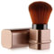 Cepillos de rubor retráctil, Pincel Kabuki Brocha para colorete Portátil Cepillo Facial Brochas de maquillaje Facial (gold)