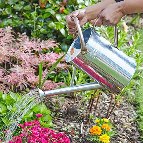 Garden Mile Regadera de acero de 4,5 L para exteriores, para todo el año, hecha de acero galvanizado resistente al óxido, para jardín, con asa y rosa desmontable
