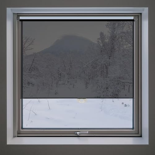 Mirrored Spring-Loaded Cordless Roller Blind - No Drill Adhesive Window Shade with One-Way Privacy & Handle, for Living Room, Study, Office Transparent Black/Blue(Black,80W x 150H cm)