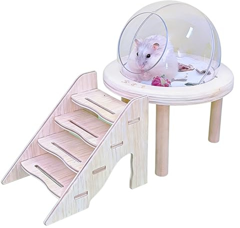 Generisch Hamster Badewanne - Sandbad für Kleintiere | Transparentes Chinchilla-Bad mit Leiter,für Rennmäuse, Kaninchen, Igel, zur Käfigpflege, zum Graben und als