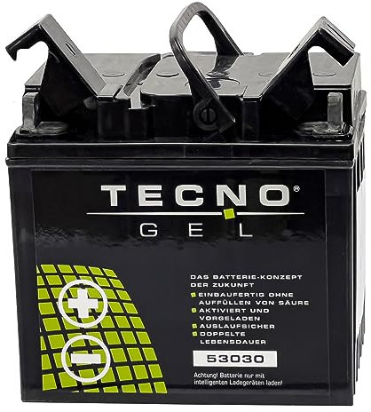 TECNO-GEL Motorrad Qualitäts Batterie 53030 für BMW R 80, G/S, GS, GS PD, GS/2, R, RT, RT/2, ST Mono- u. Paralever 1980-1998 12V Gel-Batterie 30 Ah, 187x130x170 mm