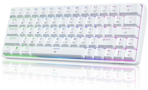 Dierya Teclado Mecánico Gamer Inalámbrico 60% DK63 con Bluetooth/2.4G/Type-C,Blue Switch Gaming Mechanical RGB Keyboard,Teclado Ultra-Compacto 68 Teclas para PC/Win/Mac,QWERTY,Blanco