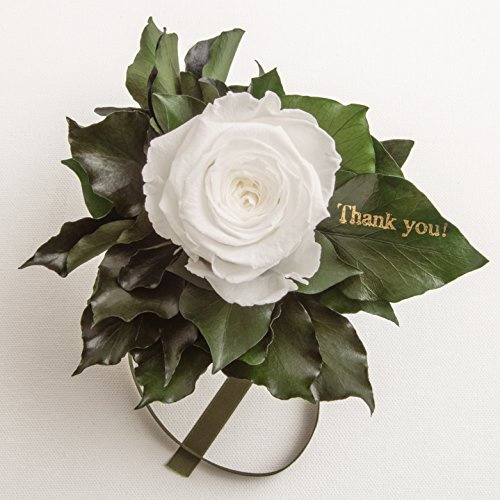Ewige Rose Rosenstrauß konserviert mit Goldschrift Thank you und Rosenduft 3 Jahre haltbar ROSEMARIE SCHULZ® (Weiß)