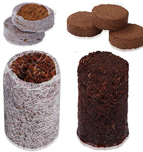 your GEAR Lot de 500 pastilles de noix de coco avec ou sans étui - Culture sans piqué - Terre de coco - Sans engrais - Sans tourbe
