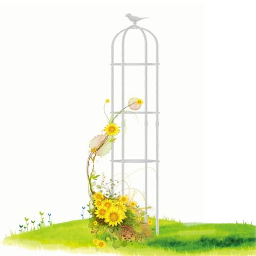 Traliccio per Piante da Giardino Obelisco Metallo per Piante Rampicanti 21x120cm 25x160cm 31x120cm 35x180cm Colonna di Rose Grigliato per Piante Rampicanti, Ortaggi e Fiori (Color : White, Size : 25